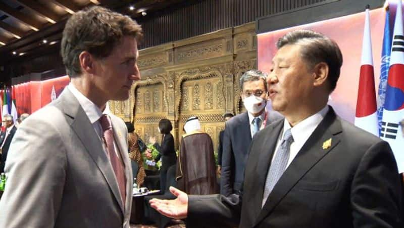 Chinese President Xi confronts Trudeau over G20 talks being leaked to the press