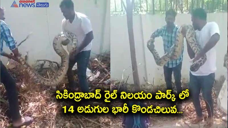 Big Python spoted in Secunderabad Rail nilayam 