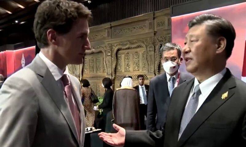 Video Fuming Xi gives Trudeau a diplomacy lesson in Bali