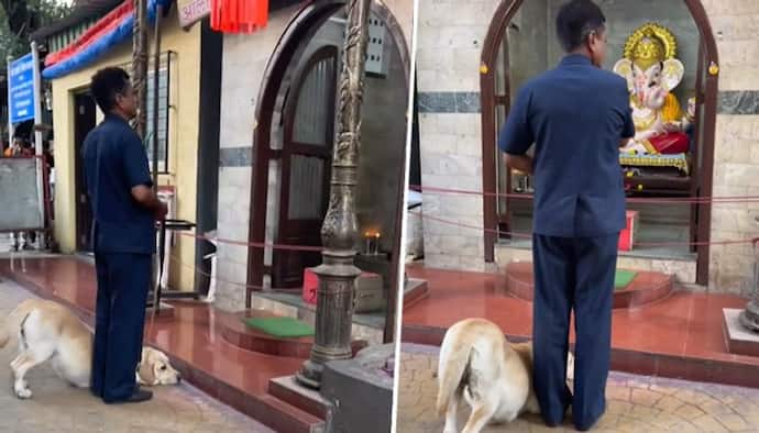Dog bows down before lord Ganesha's idol at temple amazed netizens; watch video