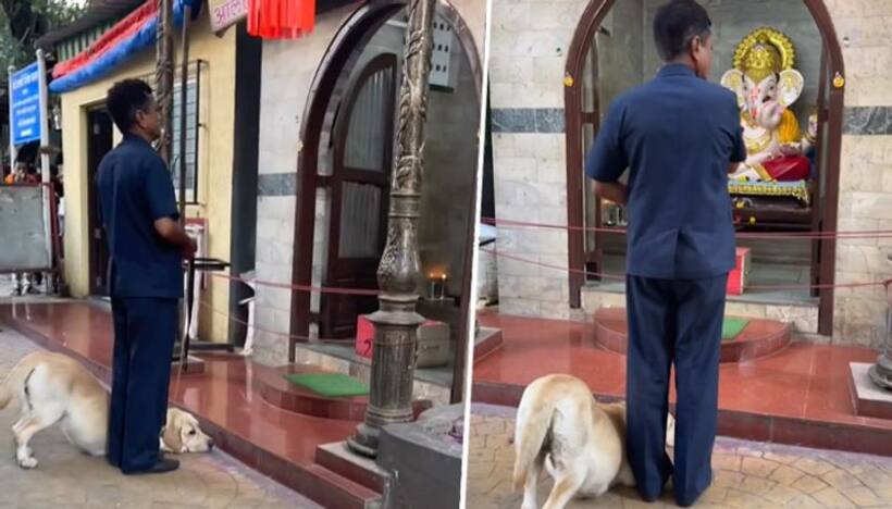 Dog bows down before lord Ganesha's idol at temple amazed netizens; watch video