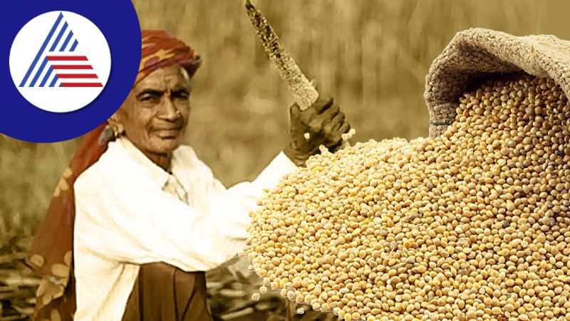 Millet Why This Indian Superfood Is A Smart Choice For The World Vin