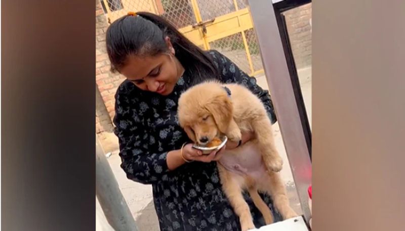 Video Of Woman Feeding Pani Puri to her pet dog 