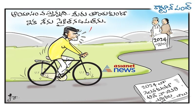 cartoon punch on tdp chief chandrababu naidu comments 