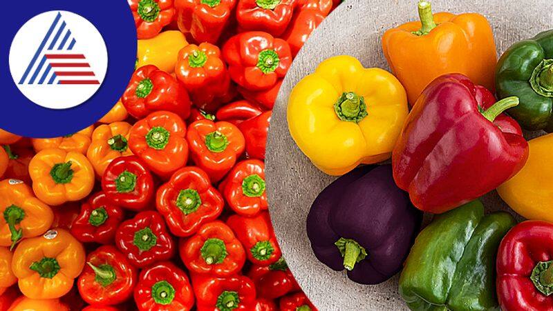 Different Types Of Capsicum