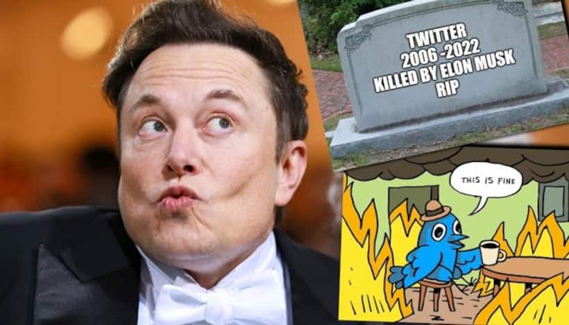 'RIP Twitter' trends amidst Twitter mass resignations after Elon Musk's ultimatum