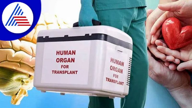 Things To Keep In Mind When Considering To Donate Organ Vin