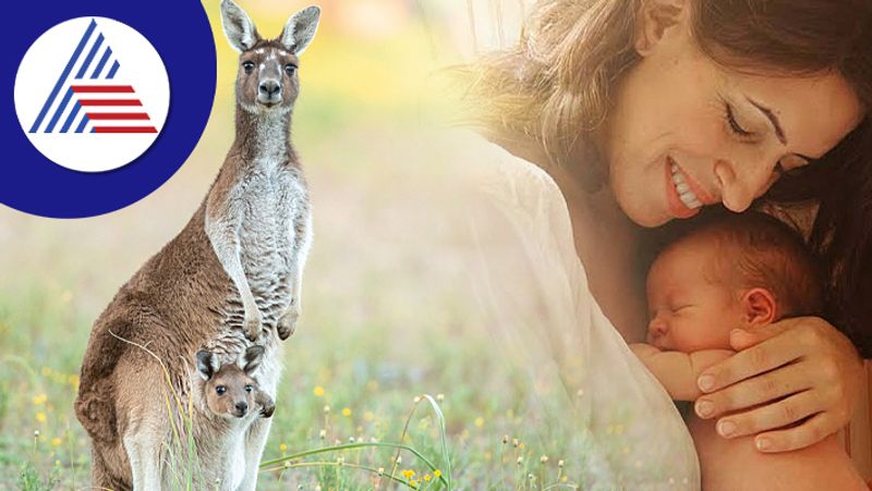 Know more about Kangaroo Care and its Benefits 