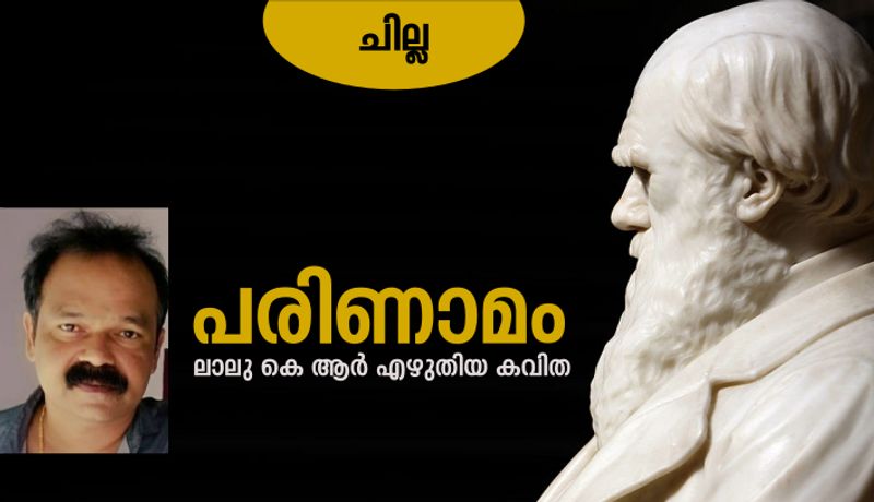 chilla malayalam poem by Lalu KR