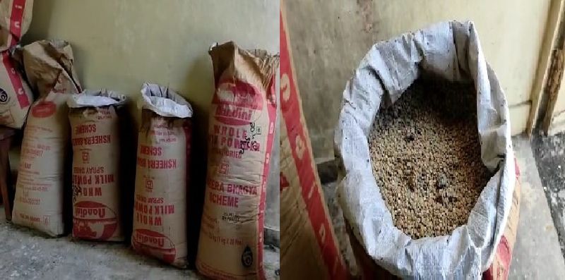 Worm rice and pulses are used for government school children's meals