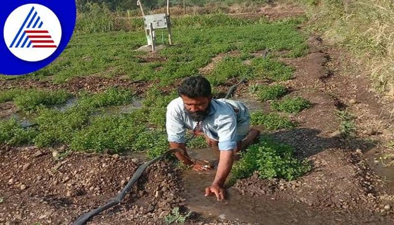 Special Disabled Person Successful in Agriculture in Kalaburagi grg