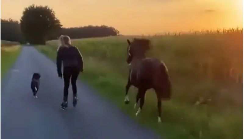 Woman Skating With Her Pet Dog And Horse in viral video