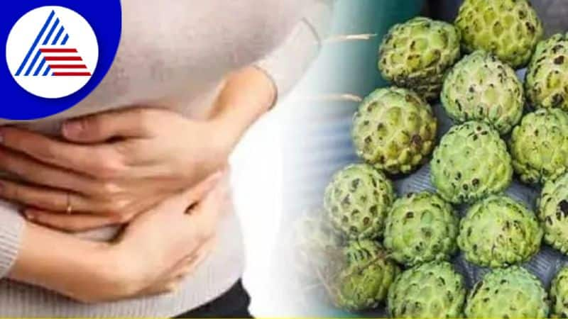 Eating Custard Apple In Winter Keeps Away Many Diseases Vin