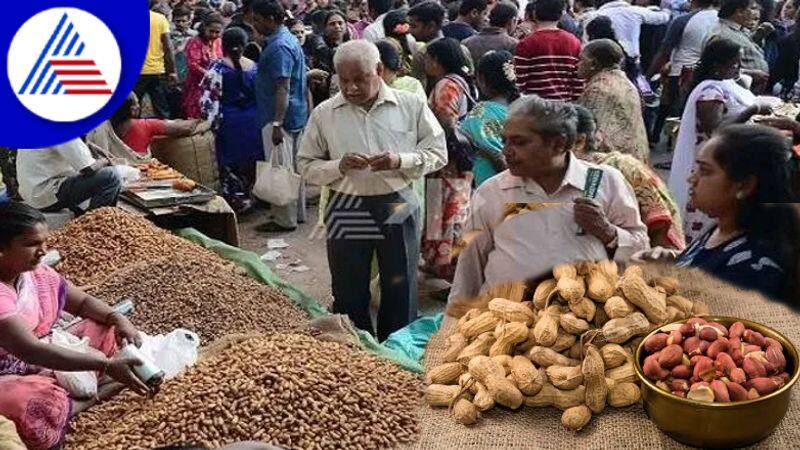 Basavanagudi Kadalekai Parishe: Health Benefits And Side effects Of Peanut Vin