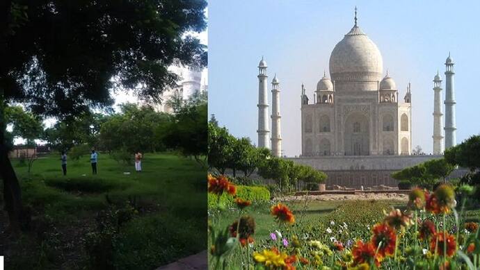 आगरा: ताजमहल के गार्डन में नमाज पढ़े जाने का वीडियो हुआ वायरल, हिंदू संगठनों ने बताया साजिश