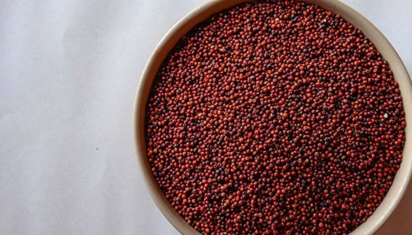 Healthy and low calorie ragi recipes you can try out