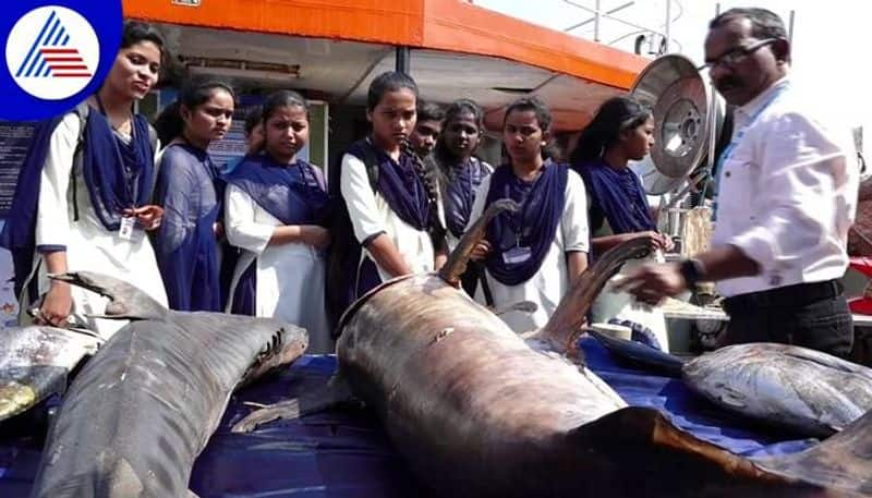 World Fisheries Day Celebration at Karwar grg