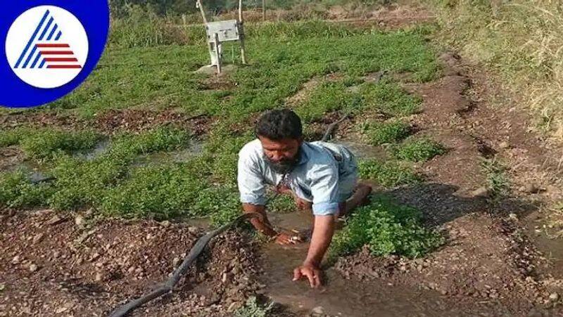 disabled person successful in agriculture in kalaburagi ash 