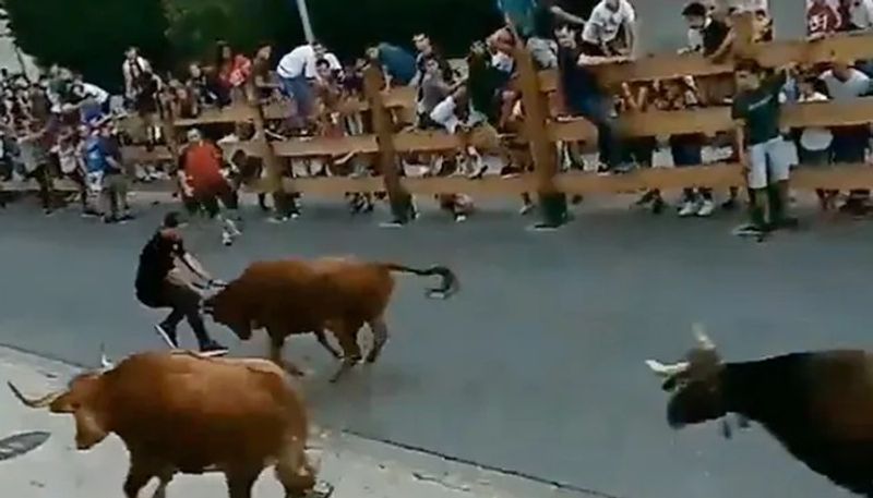 man escapes from bull run the video goes viral 