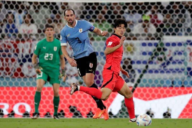 football Qatar World Cup 2022: Fans applaud Uruguay-South Korea competitive spirit in goalless draw-ayh