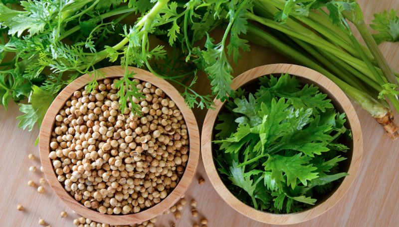 Why you need to include coriander to your diet