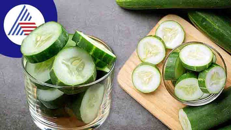 Cucumber In Winter: Should You Eat Cucumber In Cold Weather Vin