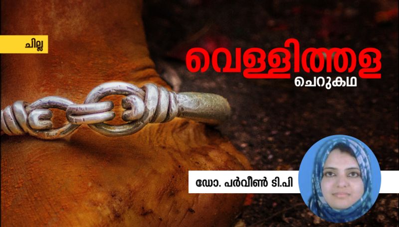 chilla malayalam  short story by Dr Parveen TP