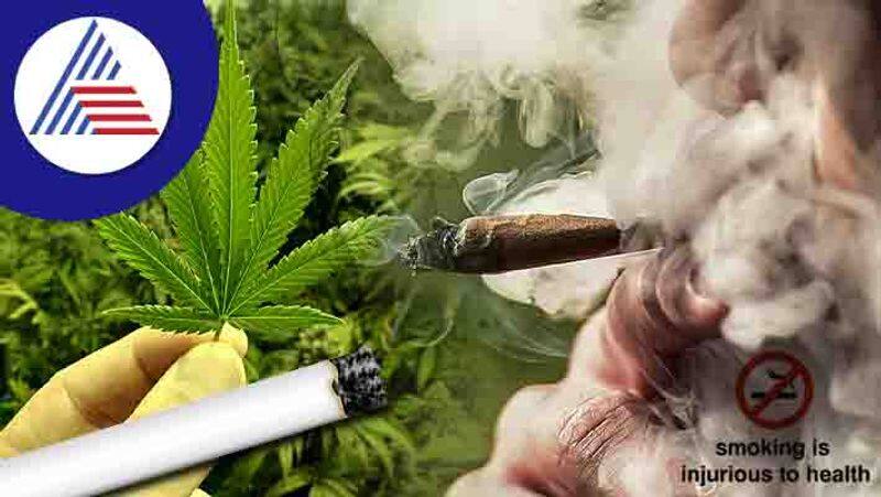 Marijuana Might Do More Damage To Smokers Than Cigarettes Alone