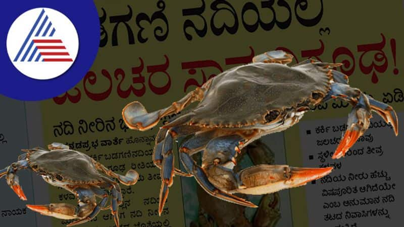 Aquatic death in Badgani river is a mystery at uttara kannada rav