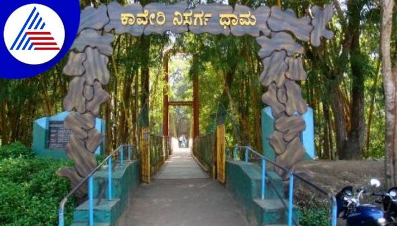 Kaveri Nisargadhama Reopened in Kodagu grg