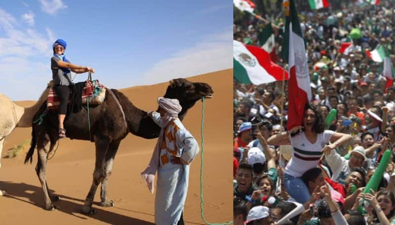 Fans at Risk Of Camel Flu in Qatar, WHO  and Host Nation Ready to Face, Report