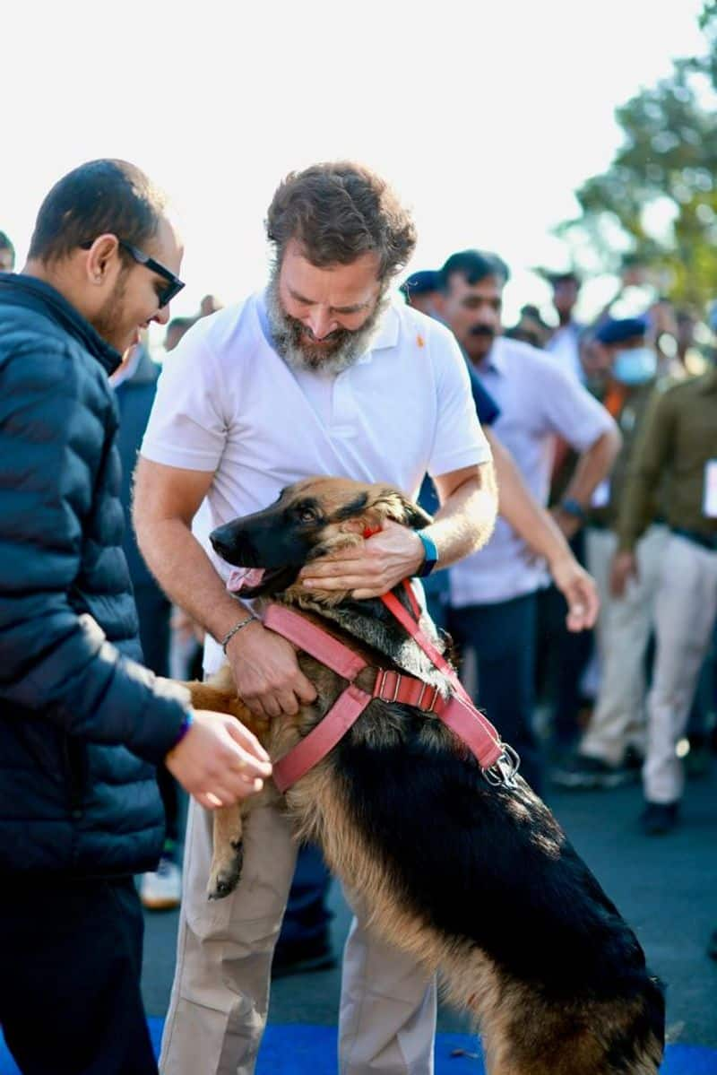 Rahul Gandhi is briefly spotted riding a bicycle as the Bharat Jodo Yatra travels to Ujjain 