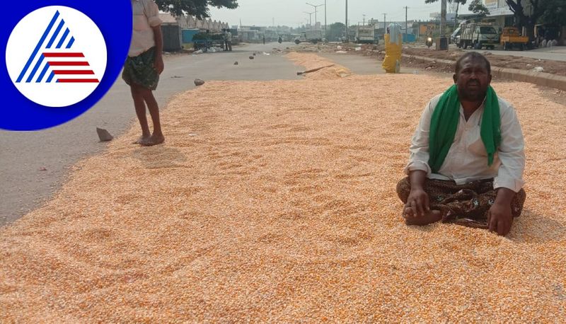 Harassment of brokers for not buying maize from farmers in Bellary APMC