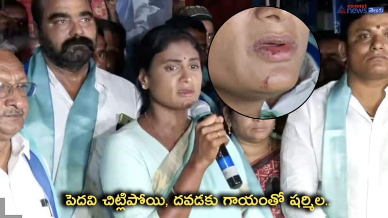 YSRTP Chief Sharmila Fires on Telangana CM KCR 