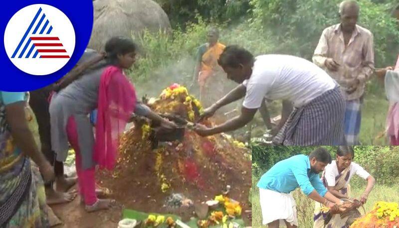 Blood ablution for snake home egg offering tradition