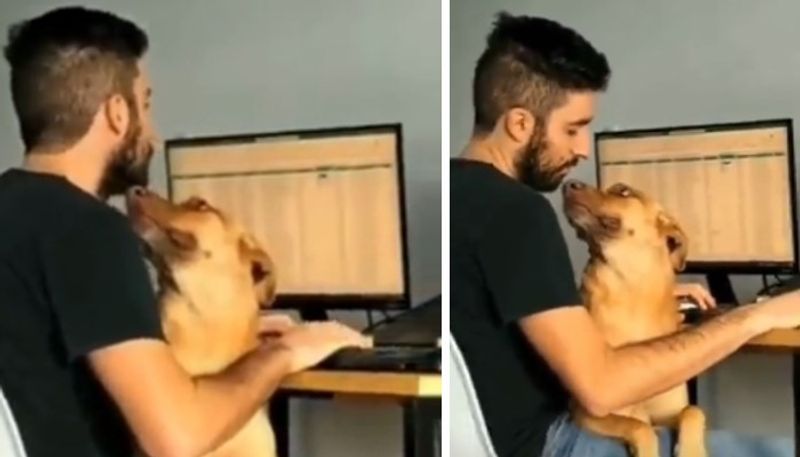 man in working from home with his pet dog the video goes viral