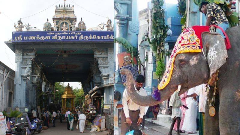 Manakula Vinayagar Temple lakshmi fainted and died.. Devotees shocked