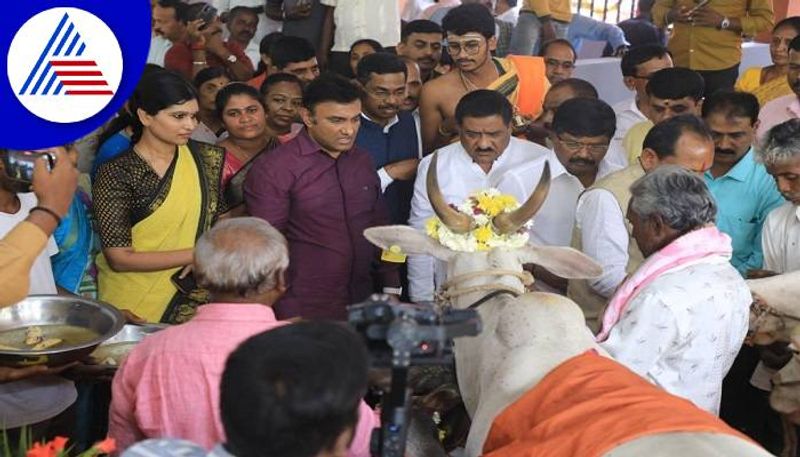 Minister K Sudhakar Adopted 31 Cows in Karnataka grg