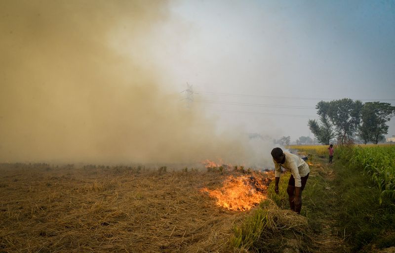 Yogi govt achieves 46% reduction in stubble burning in UP over 7 years anr