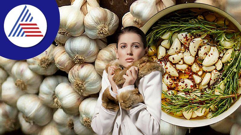 Garlic For Winters: Why You Should Include Garlic In Winter Diet Vin