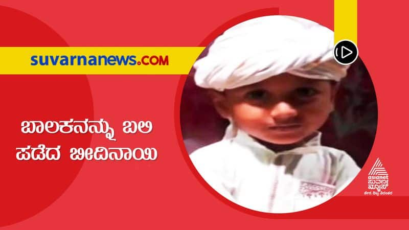 4 years old boy Syed Madani died after being attacked by dog in Shivamogga suh