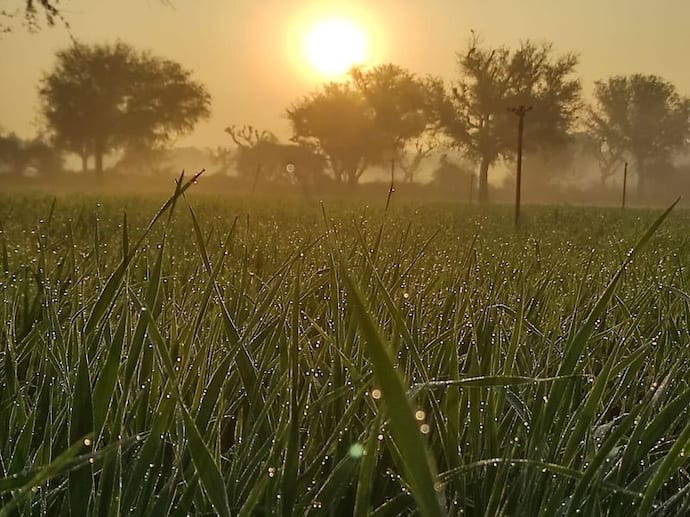 राजस्थान वेदर के ताजा हालः प्रदेश में बादलों ने बिगाड़ा सर्दी का गणित, कश्मीर की बर्फबारी बढ़ाएगी ठिठुरन