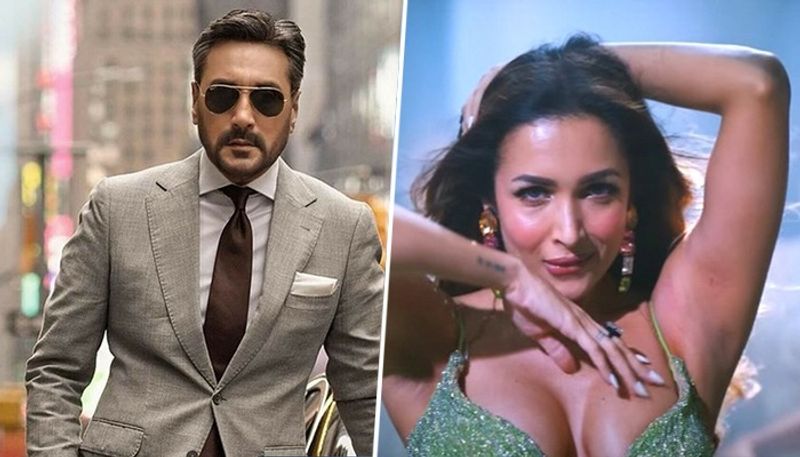 An Action Hero: Pakistani actor Adnan Siddiqui slammed 'Aap Jaisa Koi' Remix featuring Malaika Arora RBA