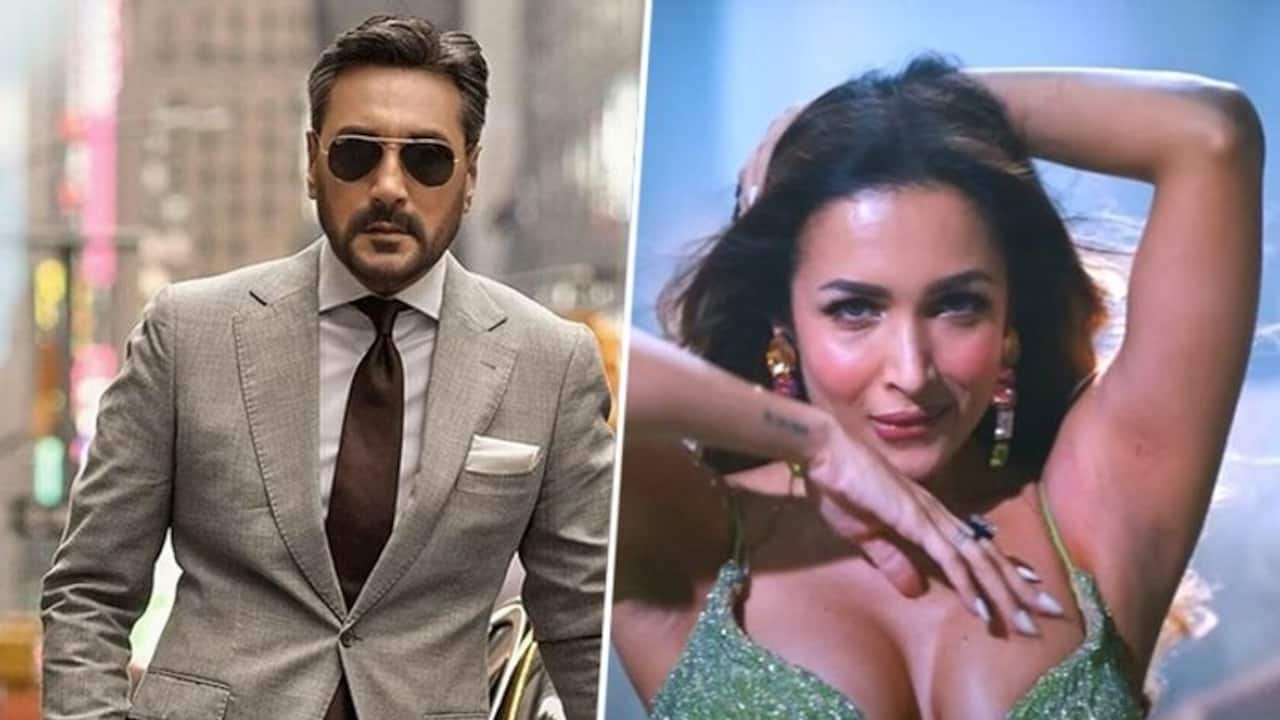 An Action Hero: Pakistani actor Adnan Siddiqui slammed 'Aap Jaisa Koi' Remix featuring Malaika Arora 