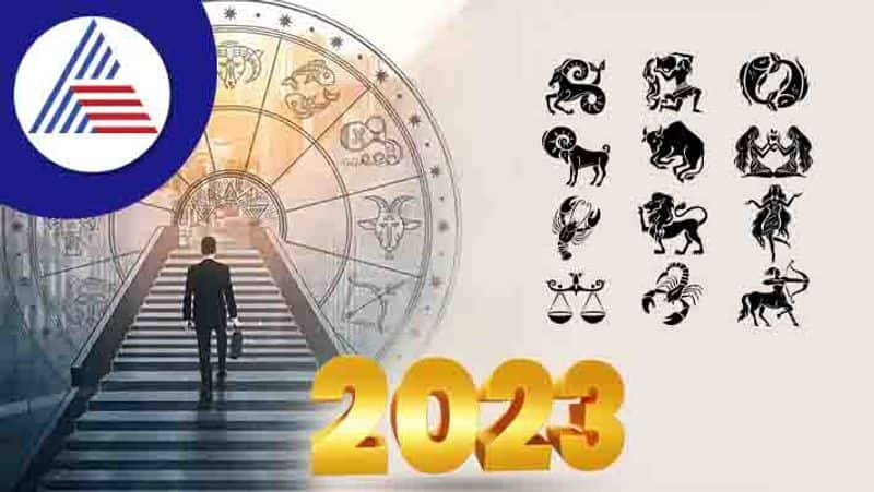 Rahu Retrograde Movement Can Change The Life Of These Zodiac Signs