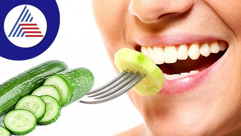 Never Eat Raw Cucumber With Meals, Know The Strange Side Effects Vin