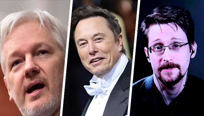 Should Assange and Snowden be pardoned Elon Musk starts a new Twitter poll gcw