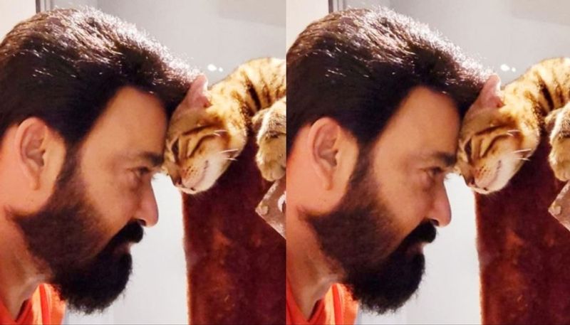 actor mohanlal share photos with his pet cat