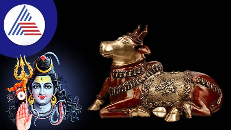 If Shivling is in the house then Nandi must also be established know the rules skr