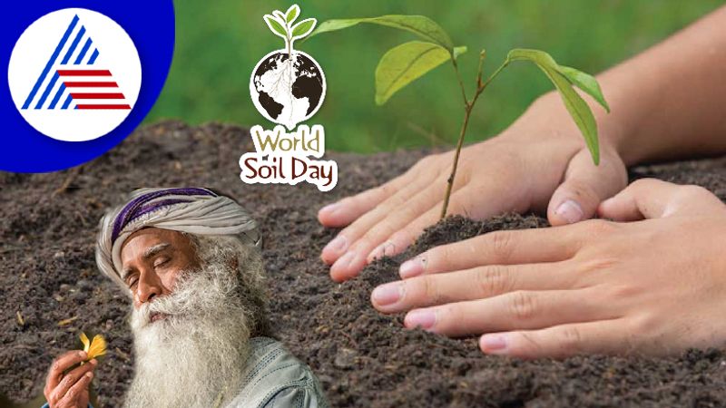 World Soil Day 2022: Whats Sadhguru Doing To Save Soil Vin